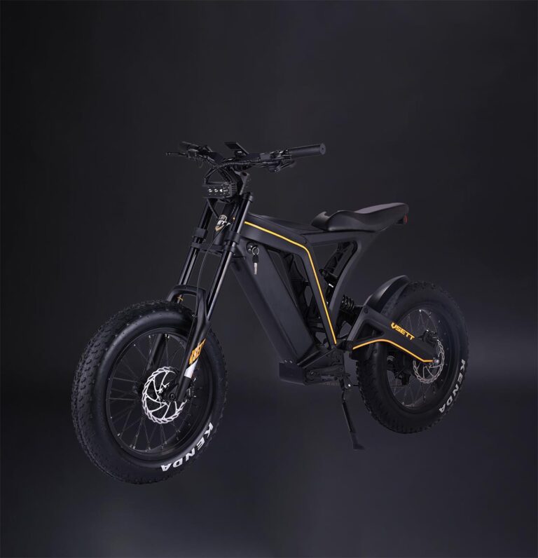 VSETT Eagle - 1 Incredible E-Bike To Open Your Horizons