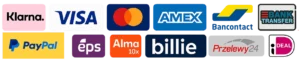 Payment methods TECO V15