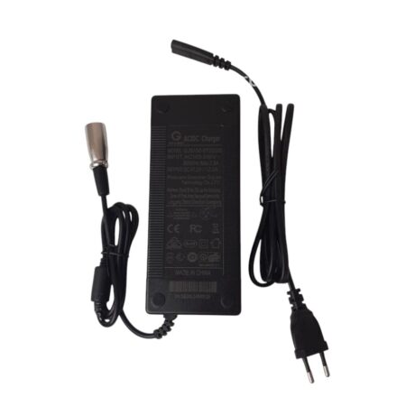 [Caricatore Vsett 11+] Caricatore (Cargador) Vsett 11+ (60V 67.2V 2A)